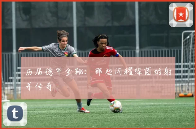 历届德甲金靴：那些闪耀绿茵的射手传奇